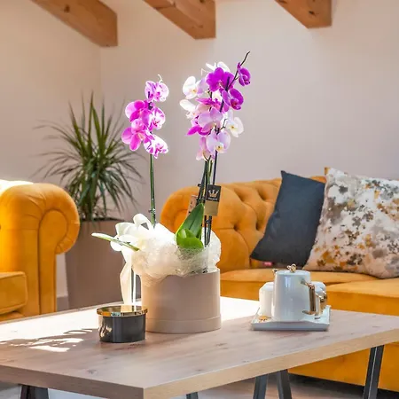 Boutique Arion Frühstückspension Rovinj